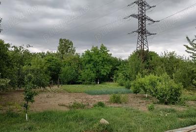 Casa de vanzare in Broscauti Casa de vanzare in Broscauti - 7