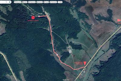 Spațiu comercial, în Vlădeni - 4