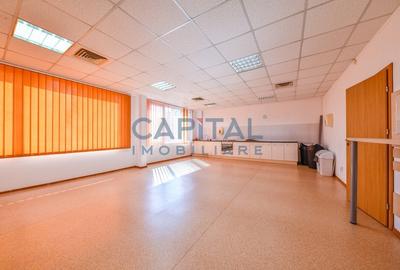 Birou de inchiriat, Taietura Turcului, 600mp, Comision 0% - 9
