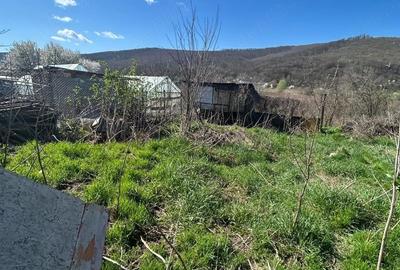 Casă cu 3 camere cu Teren 3843 Mp în Ciucurova - 2