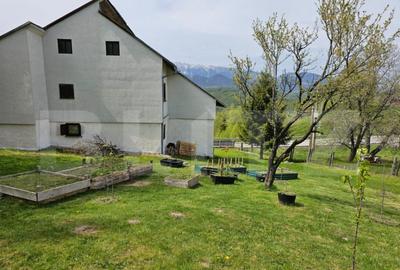 Casă cu 5 camere cu Teren 1789 Mp în Central - 5