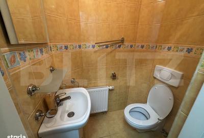 Apartament cu 3 camere în Someșeni - 10