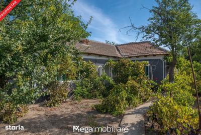 Spațiu comercial, în Potârnichea - 12