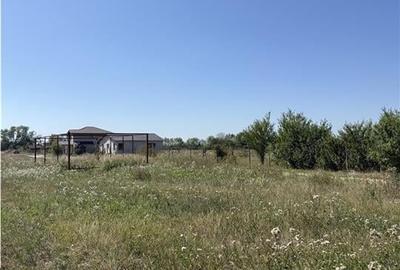 Reco, Teren in Ineu, Bihor - 3
