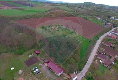 Teren intravilan de 34425 mp, în Bădeni - 18