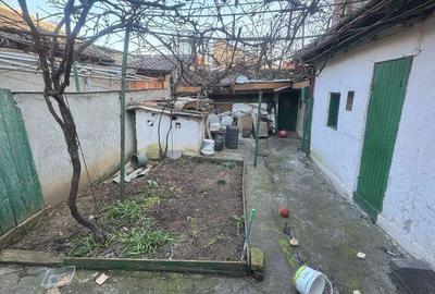 Teren MARE - case demolabile Coiciu - 11