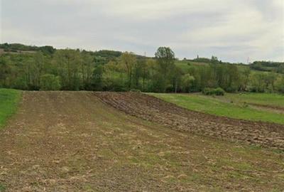 RECO Teren extravilan in Dragesti spre Stracos 6552mp - 1