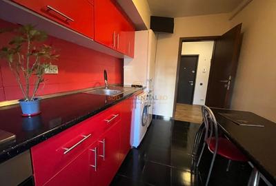 Apartament cu 2 camere decomandat, mobilat în Apărătorii Patriei - 12