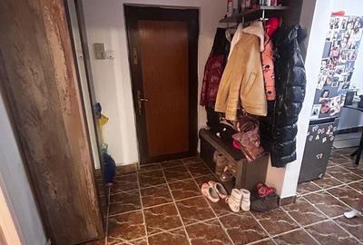 Apartament cu 3 camere decomandat în Abator - 10