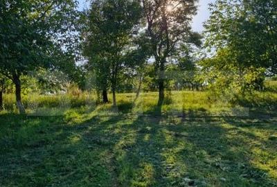 Casă cu 4 camere în Șieu - 5