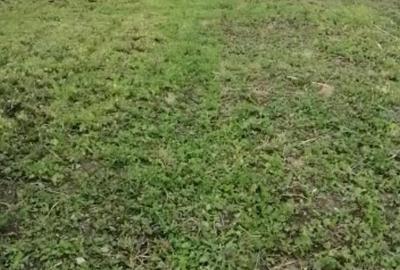 Casă în Căscioarele - 2