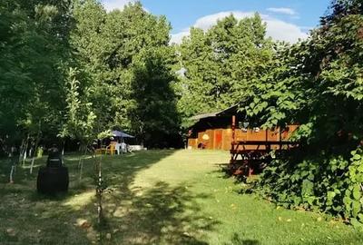 Teren in Contesti, Dambovita - 1