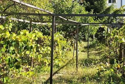 Casa spa?ioasa cu 9 camere, 800 mp teren zona centrala Or?ova - 3