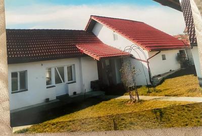 Casă cu Teren 3000 Mp în Schela - 1