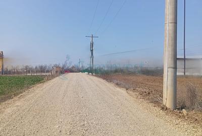 Teren Construcții intravilan de 20000 mp, în Biharia - 2