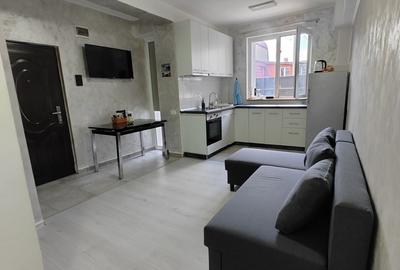 Apartament cu 2 camere semidecomandat în Tei - 2
