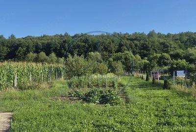 Casă cu Teren 1000 Mp în Sigmir