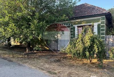 Casă cu 3 camere cu Teren 1151 Mp în Săldăbagiu Mic