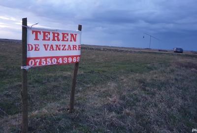 Teren de 25300 mp, în Lazuri - 2