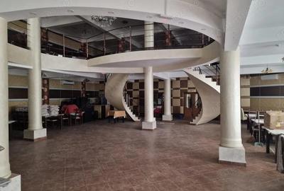 Casă cu 6 camere cu Teren 4500 Mp în Măgura - 1