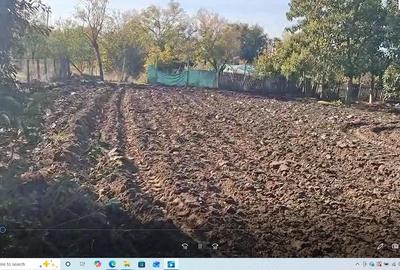 Casă cu 4 camere cu Teren 2000 Mp în Ciorăști - 2