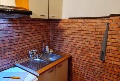 Apartament 3 camere Izvor / Unirii Pet Friendly 95 mp - 10