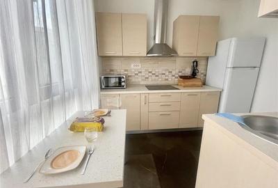 Apartament cu 2 camere decomandat în Herăstrău - 11