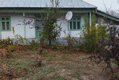 Casă cu Teren 1700 Mp în Garvăn - 3