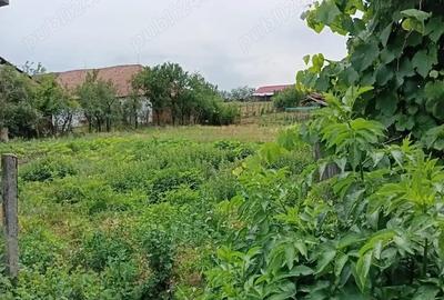 Casă cu 2 camere cu Teren 2100 Mp în Roșia de Secaș - 9