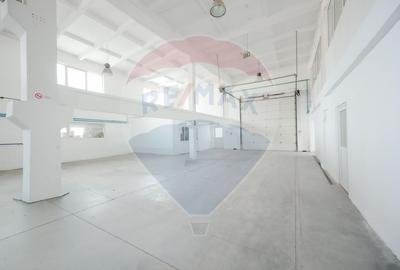 Spațiu industrial, de 1,249.0799560547 mp, în Exterior Vest - 9