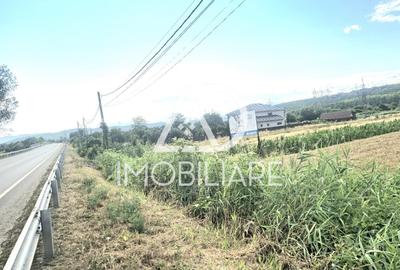 Teren intravilan de 3024 mp, în Moi - 5