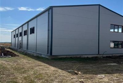 Spațiu industrial, de 600 mp, în Dascălu - 6