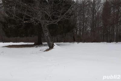 Teren de 1713 mp, în Poiana Brașov - 1