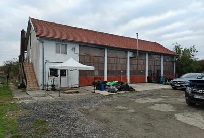 Hală pentru activități diverse/teren 5000 m² Hală pentru activități diverse/teren 5000 m² - 1