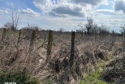 Teren de 503 mp, în Central - 1