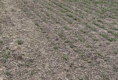 Spațiu comercial, în Vasilați - 1