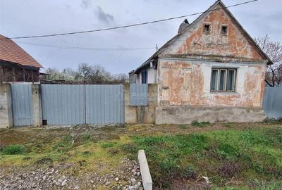 Casă cu Teren 4636 Mp în Central - 20