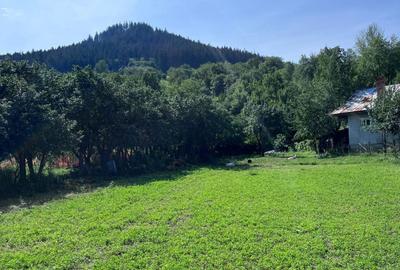 Teren de 3026 mp, în Gârcina