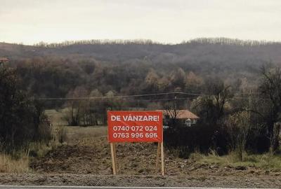 Teren de 734 mp, în Plugova - 1