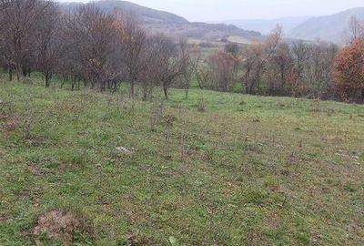 Teren de 7800 mp, în Țaga - 2