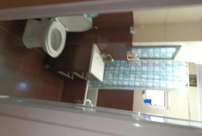 Apartament cu 2 camere decomandat în Rovinari - 5