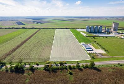 Teren de 104000 mp, în Vinga - 3