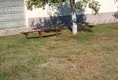 Casă cu 3 camere în Sânandrei - 2