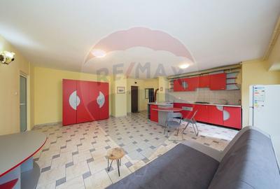 COMISION 0 | 70 MP | 2 CAMERE | RACADAU - 13