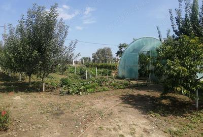 Casa la tara cu gradina - 5