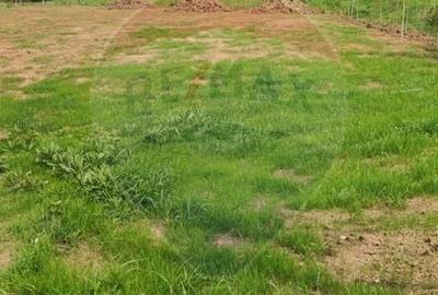 Teren Construcții intravilan de 1200 mp, în Săldăbagiu de Munte - 19
