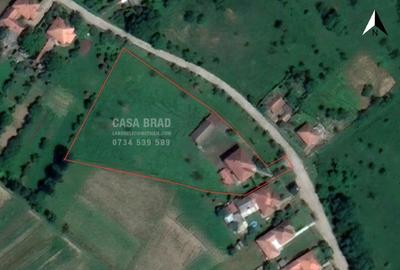 Casa mare cu ~4000mp teren plat, in zona verde, linistita, in orasul Brad, HD - 2