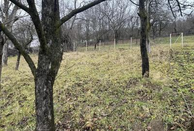 Teren 1357 mp cu vedere panoramica superba Dimitrie Cantemir, Piatra-Neam? - 6