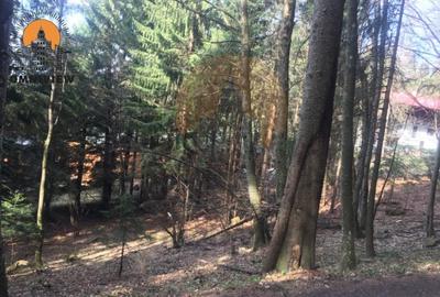 Oportunitatea Investițională în Poiana Brașov - Teren 2000 mp, Zonă Verde 2 - 9