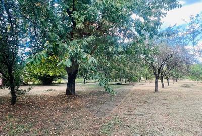 Casa Spa?ioasa cu teren Generos de 3416 mp in Tau?i... - 1